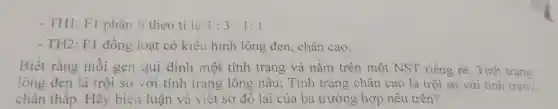 - TH1: Fl phân li theo tỉ lệ 3:3:1:1
- TH2: F1 đồng loạt có kiểu hình lông đen , chân cao.
Biết rằng môi gen qui định một tính trạng và nǎm trên một NST riêng rẽ . Tính trạng
lông đen là trội so với tính trạng lông nâu;Tính trạng chân cao là trội so với tinh trạng
chân thấp . Hãy biện luận và việt sơ đô lai của ba trường hợp nêu trên?