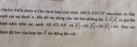 (THẦY TIẾN 2025) >Cho hình hộp chữ nhật ABCD.
A'B'C'D' như hình vẽ. Đặt
một vật tại đỉnh A , khi đó tác động vào vật bởi những lực overrightarrow (F_(1)),overrightarrow (F_(2)),overrightarrow (F_(3)) có giá lần
lượt nằm trên các cạnh AB,AD, AA' và vert overrightarrow (F_(1))vert =2N,vert overrightarrow (F_(2))vert =3N,vert overrightarrow (F_(3))vert =4N . Hãy xác
định độ lớn của hợp lực overrightarrow (F)
tác động lên vật .