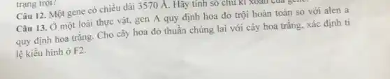 trạng trọi?
Câu 12. Một gene có chiều dài 3570 Á. Hãy tính số chu KI XUaII cua
Câu 13. Ở một loài thực vật, gen A quy định hoa đỏ trội hoàn toàn so với alen a
quy định hoa trǎng . Cho cây hoa đỏ thuần chủng lai với cây hoa trắng, xác định tỉ
lệ kiểu hình ở F2.