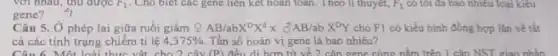 với nhau, thu được F_(1) . Cho biết các gene liên kết hoàn toàn.Theo li thuyết, F_(1) có tôi đa bao nhiêu loại kiểu
gene?
Câu 5. Ở phép lai giữa ruồi giấm AB/abX^DX^dxdelta AB/abX^DY cho F1 có kiểu hình đồng hợp lặn về tất
cả các tính trạng chiếm tỉ lệ 4,375%  Tần số hoán vị gene là bao nhiêu?