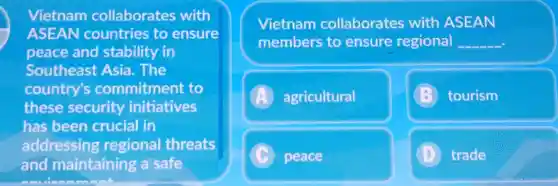 Vietnam collaborates with
ASEAN countries to ensure
peace and stability in
Southeast Asia.The
country's commitment to
these security initiatives
has been crucial in
addressing regional threats
and maintaining a safe
mulementant
Vietnam collaborates with ASEAN
members to ensure regional __
A agricultural
tourism
C peace
trade