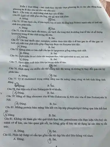 x
Phần 2 Test đúng - sai: Anh hay chị hãy chọn phương án Á cho câu đúng hoặc
phương án B cho câu sai cho các câu sau:
Câu 69. Lưới nội chất gồm các ống,các túi tách biệt nhau.
A. Đúng.
(B) Sai.
Bài 1. Cấu trúc và chức nǎng sinh học của tế bào
Câu 70. Tế bào bạch cầu, tế bào tuyến tuy có mức độ tổng hợp Protein mạnh nên có lưới nội
chất trơn phát triển.
A. Đúng.
(B) Sai.
Câu 71. Các tế bào bạch cầu mono các bạch cầu trung tính là những loại tế bào có số lượng
lysosome trong tế bào chất tương đổi lớn.
A. Đúng.
B. Sai.
Câu 72. Các loại thuốc như: morphin, codein được khử độc ở tế bào gan do tế bào gan có
lưới nội chất trơn phát triển giúp tổng hợp được các Enzyme khứ độC.
A. Đúng.
B. Sai.
Câu 73. Màng nhân có bản chất cấu tạo là lipoprotein giống màng sinh chất.
A. Đúng.
B. Sai.
Câu 74. Dịch nhân là nơi chứa các enzyme thực hiện quá trình tự sao, sao mã.
(4) Đúng.
B. Sai.
Câu 75. Hạch nhân xuất hiện liên tục trong nhân tế bào.
A. Đúng.
(B): Sai.
Câu 76. Hình dạng của nhiễm sắc thể mang tính đặc trưng và không bị thay đối qua các kỳ
phân bào.
A. Đúng.
(B) Sai.
Câu 77. Tỷ lệ cholêsterol trong màng càng cao thì mảng càng cứng và bớt tính lỏng linh
động.
A) Đúng.
B. Sai.
Câu 78. Đại diện của tế bào Eukaryota là vi khuẩn.
A. Đúng.
B. Sai.
Câu 79. Hằng số lắng ribosome của tế bào Eukaryota là 80S còn của tế bào Prokaryota là
70S.
(A) Đúng.
B. Sai.
Câu 80. Những protein bám màng liên kết với lớp kép phospholipid thông qua liên kết hoá
trị:
A. Đúng.
B. Sai.
Câu 81. Không chi tham gia vảo quá trình thực bào, peroxisome còn thực hiện tiêu huỷ các
mảnh vỡ tế bào , các bào quan giả cõi, hư hỏng; giúp tế bào tái sử dụng lại các đơn vị cấu
trúC.
A. Đúng.
(B) Sai.
Câu 82. Phức hệ Golgi có cấu tạo gồm các túi dẹp lớn nhỏ liên thông với nhau.
A. Đúng.
B. Sai.