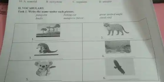 10. A. material
B. ecosystem
C. organism
D. security
II. VOCABULARY
Task 1. Write the name under cach picture.
pangolin
fishing cat
koala
mangrove forest
great spotted eagle
coral reef
1. __
3. __
2. __
4. __
6 __
(1)
5. __