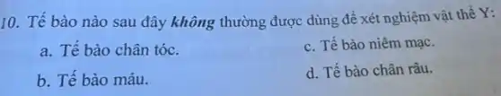 10. Tế bào nào sau đây không thường được dùng để xét nghiệm vật thể Y:
a. Tế bào chân tóc.
c. Tế bào niêm mạc.
b. Tế bào máu.
d. Tế bào chân râu.