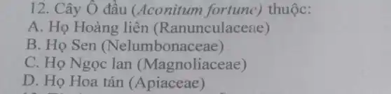 12. Cây Ô đầu (Aconitum fortune)thuộc:
A. Họ Hoàng liên (Ranunculaceae)
B. Họ Sen (Nelumbonaceae)
C. Họ Ngọc lan (Magnoliaceae)
D. Họ Hoa tán (Apiaceae)