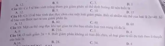 A. 12.
B. 9.
C. 3.
D. 1
Câu 11: Có 5 tế bào sinh trứng tham gia giảm phân số thể định hướng đã tiêu biến là
A. 12.
Câu 12: Có 15 tế bào sinh dục đực chín của một loài giảm phân. Biết số nhiễm sắc thể của loài là
B. 5.
C. 10.
D. 15
tế bào con được tạo ra sau giảm phân là:
2n=40 Số
A. 15.
B. 80.
C. 40.
D. 60
Câu 13: Một cá thể ong đực khi tạo giao tử cho bao nhiêu loại tinh trùng tối đa là:
A. 0.
Câu 14: Ở ruồi giấm
B. 216.
C. 1.
D. 4
2n=8
Biết giâm phân không có trao đổi chéo số loại giao từ tối đa tính theo lí thuyết
của loài là:
A. 16.
B. 28.
C. 34.
D. 4