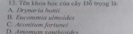 13. Tên khoa học của cây Đỗ trọng là:
A. Drynaria bonii
B. Eucommia ulmoides
C. Aconitum fortunei
D. Amomum xanthioides