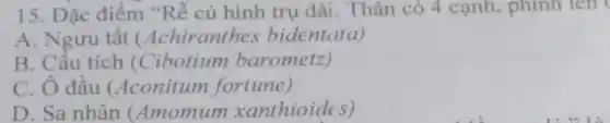 15. Đặc điểm "Rễ củ hình trụ dài. Thân có 4 cạnh , phinh lên (
A. Ngưu tất (Achiranthes bidentata)
B. Cầu tích (Cibotium barometz)
C. Ô đầu (Aconitum fortune)
D. Sa nhân (Amomum xanthioides)