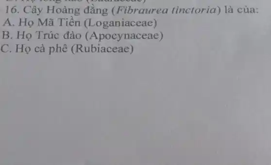 16. Cây Hoàng đằng (Fibraurea tinctoria) là của:
A. Họ Mã Tiền (Loganiaceae)
B. Họ Trúc đào (Apocynaceae)
C. Họ cà phê (Rubiaceae)