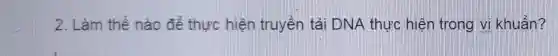 2. Làm thế nào để thực hiện truyền tải DNA thực hiện trong vi khuẩn?