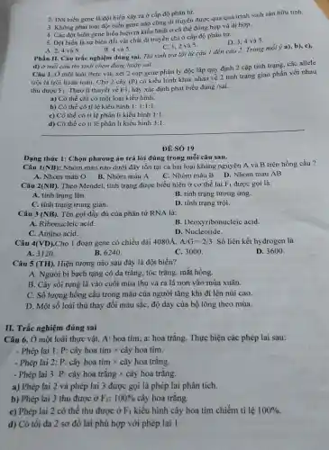 2. Đột biến gene là đột biến xảy ra ở cấp độ phân tử.
3. Không phải loại đột biển gene nào cũng di truyền được qua quá trình sinh sản hữu tính.
4. Các đột biến gene biểu hiện ra kiểu hình ở cả thể đồng hợp và dị hợp.
5. Đột biến là sự biến đổi vật chất di truyền chỉ ở cấp độ phân tử.
D. 3,4 và 5.
C. 1,2 và 5.
A. 2,4 và 5.
B. 4 và 5.
Phần II. Câu trắc nghiệm đúng sai. Thi sinh trả lời từ câu 1 đến câu 2.Trong mỗi ý a)b), c),
d) ở mỗi câu thí sinh chọn đúng hoǎc sai.
Câu 1. Ở một loài thực vật, xét 2 cặp gene phân ly độc lập quy định 2 cặp tính trạng, các allele
trội là trội hoàn toàn. Cho 2 cây (P)
có kiểu hình khác nhau về 2 tính trạng giao phấn với nhau
thu được F_(1) . Theo lí thuyết về F1, hãy xác định phát biểu đúng /sai.
a) Có thể chỉ có một loại kiểu hinh.
b) Có thể có tỉ lệ kiểu hình 1:1:1:1
c) Có thể có tỉ lệ phân li kiểu hình 1:1
d) Có thể có tỉ lệ phân li kiểu hình 3:1
ĐỀ SÓ 19
Dạng thức 1: Chọn phương án trả lời đúng trong mỗi câu sau.
Câu 1(NB): Nhóm máu nào dưới đây tồn tại cả hai loại kháng nguyên A và B trên hồng cầu ?
A. Nhóm máu O B. Nhóm máu A
C. Nhóm máu B D. Nhóm máu AB
Câu 2(NB) . Theo Mendel, tính trạng được biểu hiện ở cơ thể lai F_(1) được gọi là:
A. tính trạng lặn.
B. tính trạng tương ứng.
C. tính trạng trung gian.
D. tính trạng trội.
Câu 3 (NB) . Tên gọi đầy đủ của phân tử RNA là:
A. Ribonucleic acid.
B. Deoxyribonucleic acid.
C. Amino acid.
D. Nucleotide.
Câu 4(VD) .Cho 1 đoạn gene có chiều dài 4080A, A/G=2/3 . Số liên kết hydrogen là
A. 3120.
B. 6240 .
C. 3000 .
D. 3600 .
Câu 5 (TH) . Hiện tượng nào sau đây là đột biến?
A. Người bị bạch tạng có da trǎng tóc trắng, mắt hồng.
B. Cây sồi rụng lá vào cuối mùa thu và ra lá non vào mùa xuân.
C. Số lượng hồng cầu trong máu của người tǎng khi đi lên núi cao.
D. Một số loài thú thay đổi màu sắc, độ dày của bộ lông theo mùa.
II. Trắc nghiệm đúng sai
Câu 6. Ở một loài thực vật, A:hoa tím; a; hoa trắng. Thực hiện các phép lai sau:
- Phép lai 1: P:cây hoa tím x cây hoa tím.
- Phép lai 2: P:cây hoa tím x cây hoa trắng.
- Phép lai 3: P;cây hoa trắng x cây hoa trǎng.
a) Phép lai 2 và phép lai 3 được gọi là phép lai phân tích.
b) Phép lai 3 thu được ở F_(1) : 100%  cây hoa trắng.
c) Phép lai 2 có thể thu được ở F_(1) kiểu hình cây hoa tím chiếm tỉ lệ 100% 
d) Có tối đa 2 sơ đồ lai phù hợp với phép lai 1