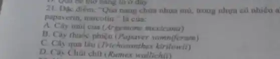 21. Đặc điểm:"Qúa nang chứa nhựa mù, trong nhựa có nhiều a
papaverin.narcotin." là của:
A. Cây mùi cua (Argemone mexicana)
B. Cây thuốc phiên (Papaver somniferum)
C. Cây qua lâu (Trichosanthes kirilowii)
D. Cây Chút chít (Rumex wallichii)