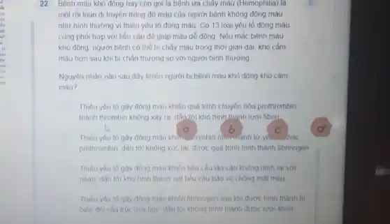 22 Bệnh máu khó đông hay còn gọi là bệnh ưa chảy máu (Hemophilia) là
một rối loan di truyền trong đó máu của người bệnh không đông máu
như bình thường vi thiểu yếu tố đông máu. Có 13 loai yếu tố đông máu
cùng phối hợp với tiểu cầu để giúp máu dễ đông. Nếu mắc bênh màu
khó đông, người bệnh có thể bi chảy máu trong thời gian dài, khó cầm
máu hơn sau khi bị chân thương so với người bình thường
Nguyên nhân nào sau đây khiển người bị bệnh máu khó đông khó cầm
máu?
Thiểu yếu tố gây đông máu khiển quá trình chuyển hóa prothrombin
thành thrombin không xảy ra, dẫn tới khó hình thành lưới fibrin.
o
Thiếu yếu tố gây đông máu khien... frombin hìn......ành từ yế hác
prothrombin, dẫn tới không xúc tác được quả trình hình thành fibrinogen
Thiểu yếu tố gây đông máu khiến tiểu cầu lân cận không dinh lai với
nhau, dẫn tới khó hình thành nút tiểu cầu bào vệ chống mất máu
Thiếu yếu tố gây đông máu khiến fibrinogen sau khi được hình thành bi
biến đồi cấu trúc hóa học, dẫn tới không hình thành được lurói fibrin