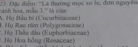 23. Đặc điểm:"Lá thường mọc so le , đơn nguyên
cánh hoa, mẫu 3." là của:
1. Họ Bầu bí (Cucurbitaceae)
3. Họ Rau rǎm c Polygonaceae)
: Họ Thầu dầu (E uphorbiaceae)
. Họ Hoa hồng (Rosaceae)