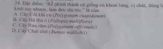 24. Đặc điểm:"Rễ phình thành củ giống củ khoai lang, vị chát, dùng l
kinh suy nhược,làm đen râu tóc " là của:
A. Cây Cốt khí củ (Polygonum cuspidatum)
B. Cây Hà thủ ô (Fallopia multiflora)
C. Cây Rau rǎm (Polygonum officinale)
D. Cây Chút chít (Rumex wallichii)