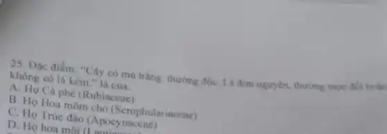 25. Đặc điểm:"Cây có mủ trắng thường độC. Lá đơn nguyên, thường mọc đối hoặc
không có lá kèm " là của:
A. Họ Cà phê (Rubiaceae)
B. Họ Hoa mõm chó (Scrophul ariaceae)
C. Họ Trúc đào (Apocynaceae)
D. Ho hoa môi