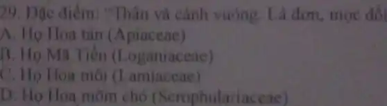 29. Đặc điểm:"Thân và cảnh vuòng. Lá đơn mọc đối
A. Họ Hoa tàn (Aplaceae)
B. Họ Mã Tiền (Loganiaceae)
C. Họ Hoa môi (Lamiaceae)
D. Họ Hoa môm chó (Scrophulariaceae)