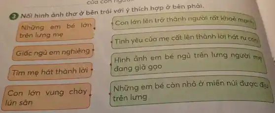 (3) Nối hình ảnh thơ ở bên trái với ý thích hợp ở bên phải.
Những em bé lớn
trên lưng me
Giấc ngủ em nghiêng
Tim me hát thành lời
Con lớn vung chày
lún sân
( Con lớn lên trở thành người rất khoẻ mạnh
Tình yêu của mẹ cất lên thành lời hát ru con
Hình ảnh em bé ngủ trên lưng người me
đang giã gạo
Những em bé còn nhỏ ở miền núi được địu
trên lưng