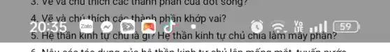 3. ve và chủ thích các thành phân của đốt sóng?
4. Vẽ và chú thích cớc thành phần khớp vai?
5. Hệ thân kinh tự chu là gì? Hệ 'thần kinh tự chủ chía làm mấy phân?