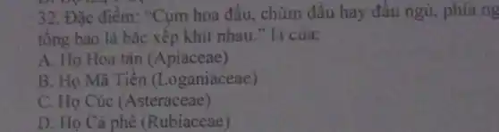 32. Đặc điểm: "Cụm hoa đầu, chùm đầu hay đầu ngủ, phía ng
tổng bao lá bǎc xếp khít nhau."la của:
A. Họ Hoa tán (Apiaceae)
B. Họ Mã Tiền (Loganiaceae)
C. Họ Cúc (Asteraceae)
D. Ho Cà phê (Rubiaceae)