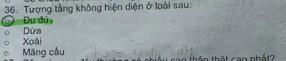 36. Tượng tầng không hiện diện ở loài sau:
(2) Đu đủ
Dừa
Xoài
Mãng cầu