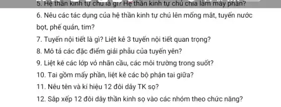 5. Hệ thân kinh tự chu là gì?Hệ thần kinh tự chủ chía làm mấy phần?
6. Nêu các tác dụng của hệ thần kinh tự chủ lên mống mắt, tuyến nước
bọt, phế quản, tim?
7. Tuyến nội tiết là gì? Liệt kê 3 tuyến nội tiết quan trọng?
8. Mô tả các đặc điểm giải phẫu của tuyến yên?
9. Liệt kê các lớp vỏ nhãn cầu các môi trường trong suốt?
10. Tai gồm mấy phần, liệt kê các bộ phận tai giữa?
11. Nêu tên và kí hiệu 12 đôi dây TK sọ?
12. Sắp xếp 12 đôi dây thần kinh sọ vào các nhóm theo chức nǎng?