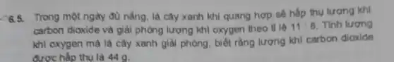 6.5.
Trong một ngày đủ nắng, là cây xanh khi quang hợp sê hấp thu lượng khí
carbon dioxide và giài phóng lượng khi oxygen theo tile
11:8 Tinh lượng
khi oxygen mà là cây xanh giải phóng , biết rằng lượng khi carbon dioxide
được hấp thụ là 44g.