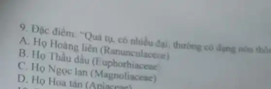 9. Đặc điểm:"Quả tu, có nhiều đai thường có dạng nón tho
A. Họ Hoàng liên (Ranunculacene)
B. Họ Thầu dầu (Euphorbiaceae)
C. Họ Ngọc lan (Magnoliaceae)
D. Ho Hoa tán