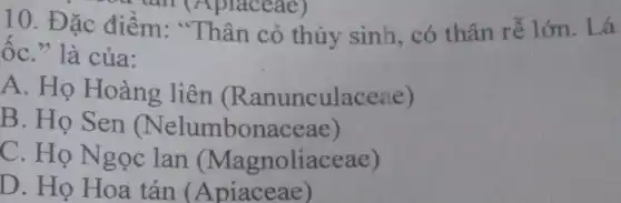 a can (Aplaceae)
ÔC." là của:
ốC.cỏ thủy sinh, có thân rễ lớn.. Lá
A. Họ Hoàng liên (Ranunculaceae)
B. Họ Sen (Nelumbonaceae)
C. Họ Ngọc lan (Magnoliaceae)
D. Họ Hoa tán (Apiaceae)