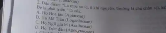 Bẹ lá phát triển " là của:
A. Họ Hoa tán (Apiaceae)
B. Họ Mã Tiền (Loganiaceae)
C. Họ Ngũ gia bi (Araliaceae)
D. Họ Trúc đào (Apocynaceae)
(ravaceae) 2. Đặc điểm: "Lá mọc so le, ít khi nguyên, thưởng là chẻ chân vịt, kế