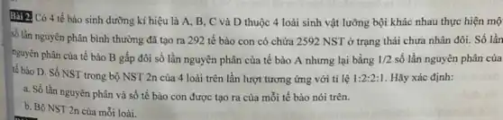 Bài 2. Có 4 tế bào sinh dưỡng kí hiệu là A, B , C và D thuộc 4 loài sinh vật lưỡng bội khác nhau thực hiện mộ
số lần nguyên phân bình thường đã tạo ra 292 tế bào con có chứa 2592 NST ở trạng thái chưa nhân đôi. Số lần
nguyên phân của tế bào B gấp đôi số lần nguyên phân của tế bào A nhưng lại bằng 1/2 số lần nguyên phân của
tế bào D. Số NST trong bộ NST 2n của 4 loài trên lần lượt tương ứng với tỉ lệ 1:2:2:1 Hãy xác định:
a. Số lần nguyên phân và số tế bào con được tạo ra của mỗi tế bào nói trên.
b. Bộ NST 2n của mỗi loài.