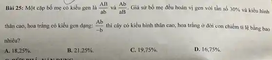 Bài 25: Một cặp bố mẹ có kiểu gen là (AB)/(ab) và (Ab)/(aB) . Giả sử bố mẹ đều hoán vị gen với tần số 30%  và kiểu hình
thân cao, hoa trắng có kiểu gen dạng: (Ab)/(-b) thì cây có kiểu hình thân cao, hoa trắng ở đời con chiếm ti lệ bằng bao
nhiêu?
A. 18,25% 
B. 21,25% 
C. 19,75% 
D. 16,75%