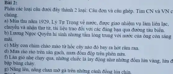 Bài 2:
Phân các loại câu dưới đây thành 2 loại: Câu đơn và câu ghép. Tìm CN và VN c
chúng.
a) Mùa thu nǎm 1929, Lý Tự Trọng về nước, được giao nhiệm vụ làm liên lac.
chuyển và nhận thư từ, tài liệu trao đồi với các đàng bạn qua đường tàu biển.
b) Lương Ngọc Quyền hì sinh nhưng tầm lòng trung với nước của ông còn sáng
mài.
c) Mấy con chim chào mào từ hốc cây nào đó bay ra hót râm ran.
d) Mưa rào rào trên sân gạch, mưa đồm độp trên phên nửa.
f) Làn gió nhẹ chạy qua, những chiếc lá lay động như những đồm lừa vàng, lửa đ
bập bùng chảy.
g) Nẵng lên, nắng chan mờ gà trên những cánh đồng lúa chin.