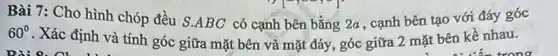 Bài 7: Cho hình chóp đều S.ABC có cạnh bên bằng 2a , cạnh bên tạo với đáy góc
60^circ 
. Xác định và tính góc giữa mặt bên và mặt đáy, góc giữa 2 mặt bên kề nhau.