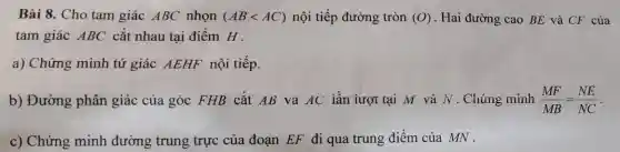 Bài 8. Cho tam giác ABC nhọn (ABlt AC) nội tiếp đường tròn (O) . Hai đường cao BE và CF của
tam giác ABC cắt nhau tại điểm H .
a) Chứng minh tứ giác AEHF nội tiếp.
b) Đường phân giác của góc FHB cắt AB và AC iần iượt tại M và N . Chúng minh (MF)/(MB)=(NE)/(NC)
c) Chứng minh đường trung trực của đoạn EF đi qua trung điểm của MN .