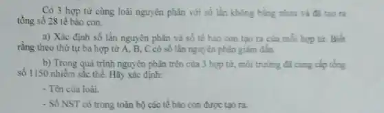 Có 3 hợp tử cùng loài nguyên phân với số lần không bằng nhau và đã tạo ra
tổng số 28 tế bào con.
a) Xác định số lần nguyên phân và số tế bào con tạo ra của mỗi hợp tứ. Biết
rằng theo thứ tự ba hợp từ A.B, C có số lần nguyên phân giảm dần.
b) Trong quá trình nguyên phân trên của 3 hợp tử, môi trường đã cung cấp tổng
số 1150 nhiễm sắc thể. Hãy xác định:
- Tèn của loài
- Số NST có trong toàn bộ các tế bảo con được tạo ra.