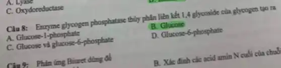 C. Oxydoreductase
Câu 8: Enzyme glycogen phosphatase thùy phản liên kết 1,4 glycoside của glycogen tạo ra
A. Glucose -I-phosphate
B. Glucose
C. Glucose và glucose -6 -phosphate
D. Glucose 6-phosphate
Câu 9: Phàn ứng Biuret dùng để
B. Xác đinh các acid amin N cuối của chuó