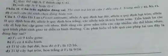 C. thay the cap A-T thành cop C-G
D. mat cap A-r hoạe G=C
Phân II. Câu trâe nghiệm đúng sai. Thí sinh trả lời tir câu 1 đến câu 2. Trong mỗi y a), b), c),
d) ở mỗi câu thí sinh chọn đúng hoǎc sai
Câu 1. Ở đầu Hi Lan (Pisum sotivum)allele A quy dinh hat dai, allele a quy định hạt tròn:allele
B quy định hoa đó, allele b quy định hoa trắng, các allele trội là trội hoàn toàn. Tiến hành lai các
cây dị hợp hai cặp gene với nhau.Biết rằng các gene nằm trên các cặp nhiễm sắc thể khác nhau,
quá trình phát sinh giao từ diền ra bình thường. Các phát biểu về kết quá của phép lai sau đây là
dùng hay sai?
a) F_(1) có 9 kiểu gene
b) F_(1) có 4 kiểu hình.
c) Tỉ lệ cây hạt dài, hoa đỏ ở F_(1) là 12/16
d) Tỉ lệ cây hạt tròn, hoa trắng ở F_(1) lủ 9/16