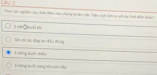 CAU 2:
Theo các nghiên cứu.thời điểm nào chúng ta làm việc hiệu suất hơn so với các thời điểm khác?
3 tiến buối tối
Tất cả các đáp án đều đúng
C 3 tiếng buổi chiều
3 tiếng buối sáng khi vừa dậy