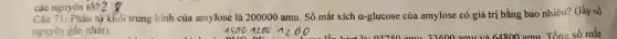 các nguyên tố? 2
Câu 71: Phân tử khối trung bình của amylose là 200000 amu. Số mắt xích a-glucose của amylose có giá trị bằng bao nhiêu? (lấy số
nguyên gần nhất).
