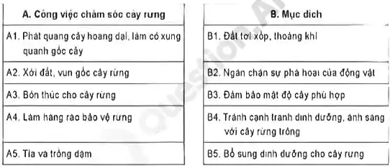 A. Công việc chảm sóc cày rừng
A1. Phát quang cây hoang dại, làm cỏ xung
quanh góc cáy
A2. Xới đất, vun góc cây rừng
A3. Bỏn thúc cho cảy rừng
A4. Làm hàng rào bảo vớ rừng
A5. Tla và tròng dậm
B. Mục dich
B1. Đặt tơi xồp, thoảng khi
B2. Ngàn chặn sự phả hoại của động vật
B3. Đảm bảo mặt độ cáy phù hợp
B4. Tránh cạnh tranh dinh dưỡng, ảnh sáng
với cây rừng tròng
B5. Bổ sung dinh dưỡng cho cây rưng