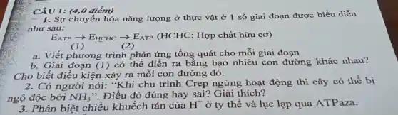 CÂU 1: (4,0
1. Sự chuyển hóa nǎng lượng ở thực vật ở 1 số giai đoạn được biểu diễn
như sau:
E_(ATP)arrow E_(HCHC)arrow E_(ATP)(HCHC : Hợp chất hữu cơ)
(1)
(2)
a. Viết phương trình phản ứng tổng quát cho mỗi giai đoạn
b. Giai đoạn (1) có thể diễn ra bằng bao nhiêu con đường khác nhau?
Cho biết điều kiện xảy ra mỗi con đường đó.
2. Có người nói: "Khi chu trình Crep ngừng hoạt động thì cây có thể bị
ngộ độc bởi NH_(3) ". Điều đó đúng hay sai?Giải thích?
3. Phân biệt chiều khuếch tán của H^+ ở ty thể và lục lạp qua ATPaza.