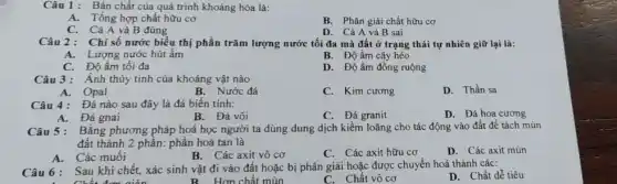 Câu 1: Bản chất của quá trình khoáng hóa là:
A. Tổng hợp chất hữu cơ
B. Phân giải chất hữu cơ
C.Cả A và B đúng
D. Cả A và B sai
Câu 2: Chi số nước biểu thị phần trǎm lượng nước tối đa mà đất ở trạng thái tự nhiên giữ lại là:
B. Độ ẩm cây héo
A. Lượng nước hút ẩm
C. Độ ẩm tối đa
D. Độ ẩm đồng ruộng
Câu 3: Ánh thủy tinh của khoáng vật nào
A. Opal
B. Nước đá
C. Kim cương
D. Thần sa
Câu 4: Đá nào sau đây là đá biến tính:
A.Đá gnai
B. Đá vôi
C. Đá granit
D. Đá hoa cương
Câu 5 : Bằng phương pháp hoá học người ta dùng dung dịch kiềm loãng cho tác động vào đất để tách mùn
đất thành 2 phần:phần hoà tan là
D. Các axit mùn
A.Các muối
C. Các axit hữu cơ
B. Các axit vô cơ
Câu 6: Sau khi chết, xác sinh vật đi vào đất hoặc bị phân giải hoặc được chuyển hoá thành các:
. Chất đơn giản	Hơn chất mùn
D. Chất dễ tiêu
C. Chất vô cơ