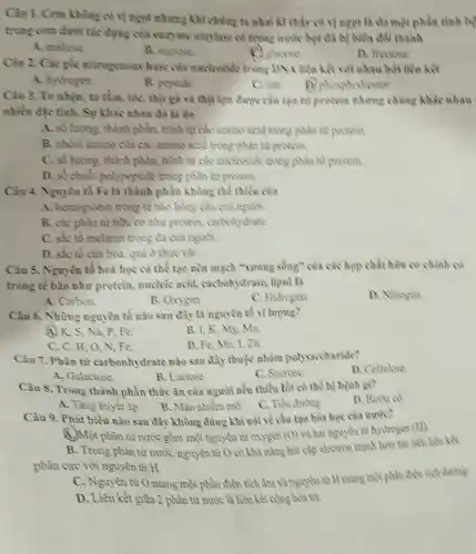 Cìu 1. Com không có vị ngọt nhưng khi chúng ta nhai kì thấy có vị ngọt là do một phần tình bộ
trong com durôi tác dụng của cuzym amylase có trong nước bọt đã bị biến đổi thành
A. maltose
B. sucrose
C) shocose
D. fitictose
Câu 2. Các gốc nitrogenous base của nucleotide trons DN A liên kết với nhau bối liên kết
A. hydrogen.
B. poptide.
C. ion
D. phosphodiester
Câu 3. Tơ nhện.tơ tầm, tốc, thịt gà và thịt lọn được cấu tạo từ protein nhưng chúng khác nhau
nhiều đặc tinh. Sự khác nhau đó là do
A. số lượng, thành phần, trình tự các anyino acid trong phân at protein
B. nhóm amino của các amino acid trong phàn tit protein.
C. số lượng, thành phần, trình tự các mucleotide trong phân từ protein
D. số chuỗi polypeptide trong phân tử protein.
Câu 4. Nguyên tố Fe là thành phần không thể thiếu của
A. hemoglobin trong tế bào hồng cầu của ngunói.
B. các phàn từ hữu cơ như protein.carbohydrate
C. sắc tổ melanin trong đa của người.
D. sắc tố của hoa, quả ở thực vật.
Câu 5. Nguyên tổ hoá học có thể tạo nền mạch "xương sống" của các họp chất hữu cơ chính
trong tế bào như protein, nucleic acid,cacbohydrate, lipid là
A. Carbon.
B. Oxygen.
C. Hidrogen
D. Nitrogen
Câu 6. Những nguyên tố nào sau đây là nguyền tố viluring?
A) K, S, Na P.Fe.
B. I.K.Mg mn
C. C, H, O.N. Fe
D. Fe, Ma, I.zo
Câu 7. Phân từ carbonhydrate nào sau đây thuộc nhóm polysaccharide?
D. Cellulose
A. Galactose.
B. Lactose
C. Sucrose
Câu 8. Trong thành phần thức ǎn của người nếu thiểu tốt có thể bị bệnh gì?
D. Buou of
A. Tǎng huyết ǎp.
B. Màu nhiễm mỗ C. Tiêu đường
Câu 9. Phát biều nào sau đây không đúng khi nói về cầu tạo hóa học của nuroc?
A. Một phân tử nước gồm một nguyên từ oxygen (0)
và hai nguyên tử hydrogen (H)
B. Trong phân từ nước, nguyên tử O có khả nǎng hút cặp electron mạnh hơn tạo nên liên kết
phân cực với nguyên tử H.
C. Nguyèn từ O mang một phần điện tích âm và nguyên từ H mang mol phần điện tích đường:
D. Liên kết giữa 2 phần từ nước là liền kết cộng hóa trị.