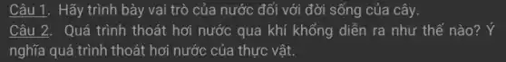 Câu 1. Hãy trình bày vai trò của nước đối với đời sống của cây.
Câu 2. Quá trình thoát hơi nước qua khí khổng diễn ra như thế nào? Ý