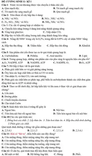 Câu 1: Nước và ion khoáng được vận chuyển ở thân chủ yếu
A. Qua mạch rây.
B. Từ mạch gỗ sang mạch rây
C. Từ mạch rây sang mạch gỗ
D. Qua mạch gỗ
Câu 2: Nitơ được rễ cây hấp thụ ở dạng:
A NH_(4)^+vgrave (a)NO_(3)^-
B. NO_(2)^-,NH_(4)^+ và NO_(3)^-
C. N_(2),NO_(2)^-,NH_(4)^+ và NO_(3)^-
D. NH_(3),NH_(4)^+ và NO_(3)^-
Câu 3: Các sắc tố quang hợp có nhiệm vụ
A. Chuyển hóa nǎng lượng ở dạng hoá nǎng thành quang nǎng
B. Tổng hợp glucôzơ.
C. Tiếp nhận CO_(2)
D. Hấp thụ và biến đổi nǎng lượng ánh sáng thành dạng hóa nǎng.
Câu 4: Nồng độ NH^+ trong cây là 0,2%  , trong đất là 0,05%  cây sẽ nhân NH^+ bằng
cách
A. Hấp thụ thụ động
B. Thẩm thấu
C. Hấp thụ chủ động
D. Khuếch
tán
Câu 5: Sản phẩm chủ yếu được tạo ra từ quá trình quang hợp là:
A. Cacbohidrate.
B. Prôtêin.
C. Axit nuclêiC.
D. Lipit.
Câu 6: Trong quang hợp, những sản phẩm nào của pha sáng là nguyên liệu của pha tối?
A. O_(2) NADPH, ATP B. NADPH. ATP	NADPH,O_(2)
O_(2),ATP
Câu 7: Hô hấp ở thực vật là quá trình:
A. Phân giải chất hữu cơ và giải phóng nǎng lượng.
B. Ôxy hóa các hợp chất hữu cơ thải ra CO và nướC.
C. Thu nhận O_(2) và thải CO_(2) vào môi trường.
D. Phân giải các chất hữu cơ phức tạp, phổ biến là cacbohydrate thành các chất đơn giản
đồng thời tạo ra ATP và nhiệt nǎng.
Câu 8: Theo sơ đồ dưới đây, hô hấp hiếu khí và lên men ở thực vật có giai đoạn nào
chung?
A. Lên men
B. Đường phân
C. Chuỗi truyền electron
D. Chu trình Crebs
Câu 9: hình thức tiêu hóa ở trùng đế giày là
A. Ngoại bào.
B. Nội bào.
C. Tiêu hóa nội bào rồi ngoại bào.
D. Tiêu hóa ngoại bào rồi nội bào
Câu 10:Cho các quá trình sau:
1. Đồng hoá các chất. 2. Lấy thức ǎn. 3. Tiêu hoá thức ǎn. 4. Háp thu chất dinh dưỡng.
5 Phân giải các chất.
Quá trình dinh dưỡng ở động vật gồm những giai đoạn nào?
A. 2,5,4,1
B. 2,3,1,5
C. 2,5,1,4
D. 2,3,4 . l
Câu 11: Khi cá "thở ra", diễn biến nào sau đây đúng?
A. Cửa miệng đóng.thềm miệng nâng lên,nắp mang mở.
B. Cửa miệng đóng.thềm miệng nâng lên,nǎp mang đóng.
C. Cửa miệng đóng , thềm miệng hạ xuống, nắp mang mở.
D. Cửa miệng đóng.thềm miệng nâng lên,nắp mang đóng.
Câu 12: Ở sâu bọ, quá trình trao đổi khí được thực hiện qua:
A. Bề mặt cơ thể.
B. Hệ thống ống khí.
C. Mang.
D. Phổi.