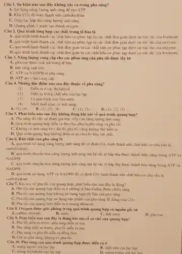 Câu 1. Sự kiện nào sau đây không xảy ra trong pha sáng?
A. Sử dụng nǎng lượng ánh sáng để tạo ATP
B. Khừ CO_(2) để hình thành nên carbohydrate.
C. Diệp lục hấp thu nǎng lượng ánh sáng.
D. Quang phân li nước tạo thành oxygen.
Câu 2. Quá trình tổng hợp các chất trong tế bào là
A. quá trình hình thành các chất hữu cơ phức tạp từ các chất đơn giản dưới sự xúc tác của hormone.
B. quá trình hình thành các chất hữu cơ phức tạp từ các chất đơn giản dưới sự xúc tác của enzyme.
C. quá trình hình thành các chất đơn giản từ các chất hữu cơ phức tạp dưới sự xúc tác của enzyme.
D. quá trình hình thành các chất đơn giản từ các chất hữu cơ phức tạp dưới sự xúc tác của hormone.
Câu 3. Nǎng lượng cung cấp cho các phản ứng của pha tối được lấy từ
A. glucose được tích trừ trong tê bảo.
B. ánh sáng mặt trời.
C. ATP và NADPH từ pha sáng.
D. ATP do ti thể cung cấp.
Câu 4. Những đặc điểm nào sau đây thuộc về pha sáng?
(1) Diển ra ở các thylakoid.
(2) Diển ra trong chất nền của lục lạp.
(3) Là quá trình oxy hóa nướC.
(4) Nhất thiết phải có ánh sáng.
A. (1), (4) B. (1), (2), (4)
C. (1), (2).;
D. (1), (2), (3). ;
Câu 5. Phát biểu nào sau đây không đúng khi nói về quá trình quang hợp?
A. Pha sáng thi cần sự tham gia trực tiếp của nǎng lượng ánh sáng.
B. Quá trinh quang hợp diển ra theo hai pha là pha sáng và pha tối.
C. Không có ánh sáng kéo dài thì pha tối cũng không thể diển ra.
D. Quá trình quang hợp không diễn ra sự chuyển hóa vật chất.
Câu 6. Bản chất của pha sáng là
A. quá trình sử dụng nǎng lượng ánh sáng đề cố định CO_(2) hình thành nên chất hữu cơ chủ yếu là
carbohydrate.
B. quá trình chuyển hóa nǎng lượng ánh sáng mà hệ sắc tố hấp thụ được thành điện nǎng trong ATP và
NADPH
C. quá trình chuyển hóa nǎng lượng ánh sáng mà hệ sắc tố hấp thụ được thành hóa nǎng trong ATP và
NADPH
D. quá trình sử dụng ATP và NADPH đề cố định CO_(2) hình thành nên chất hữu cơ chủ yếu là
carbohydrate.
Câu 7. Khi nói về pha tối của quang hợp, phát biểu nào sau đây là đúng?
A. Pha tối của quang hợp diễn ra ở những tế bảo không được chiếu sáng.
B. Pha tối của quang hợp không sử dụng nguyên liệu của pha sáng.
C. Pha tối của quang hợp sử dụng sản phẩm của pha sáng để đồng hóa CO_(2)
D. Pha tối của quang hợp diễn ra ở xoang thilacoit.
Câu 8. Oxygen được giai phóng trong quá trình quang hợp có nguồn gốc từ
A. carbon dioxide	B. nướC.	C. ánh sáng.
D. glucose.
Cấu 9. Phát biếu nào sau đây là đúng khí nói về cơ chế của quang hợp?
A. Pha tối diển ra trước, pha sáng diễn ra sau.
B. Pha sáng diền ra trước, pha tối diễn ra sau.
C. Pha sáng và pha tối điển ra đồng thời.
D. Chi có pha sáng.không có pha tối.
Câu 10. Pha sáng của quá trình quang hợp được diễn ra ở
A. màng ngoài của lục lap.
B. chất nền của lue lipp
C. màng thylakoid của luc lap.
D. màng trong cùa lue lan