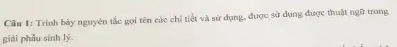 Câu 1: Trình bày nguyên tắc gọi tên các chi tiết và sử dụng, được sử dụng được thuật ngữ trong
giải phẫu sinh lý.