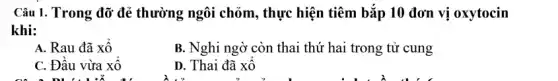 Câu 1. Trong đỡ đẻ thường ngôi chỏm , thực hiện tiêm bắp 10 đơn vị oxytocin
khi:
A. Rau đã xổ
B. Nghi ngờ còn thai thứ hai trong tử cung
C. Đầu vừa xổ
D. Thai đã xổ