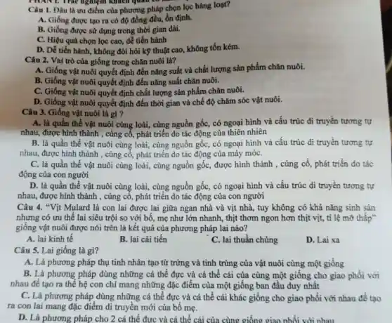 Câu 1. Đâu là ưu điểm của phương pháp chọn lọc hàng loạt?
A. Giống được tạo ra có độ đồng đều, ổn định.
B. Giống được sử dụng trong thời gian dài.
C. Hiệu quả chọn lọc cao, dễ tiến hành
D. Dễ tiến hành.không đòi hỏi kỹ thuật cao, không tốn kém.
Câu 2. Vai trò của giống trong chǎn nuôi là?
A. Giống vật nuôi quyết định đến nǎng suất và chất lượng sản phẩm chǎn nuôi.
B. Giống vật nuôi quyết định đến nǎng suất chǎn nuôi.
C. Giống vật nuôi quyết định chất lượng sản phẩm chǎn nuôi.
D. Giống vật nuôi quyết định đến thời gian và chế độ chǎm sóc vật nuôi.
Câu 3. Giống vật nuôi là gì?
A. là quần thể vật nuôi cùng loài,cùng nguồn gốc, có ngoại hình và cấu trúc di truyền tương tự
nhau, được hình thành , cùng cố, phát triển do tác động của thiên nhiên
B. là quần thể vật nuôi cùng loài , cùng nguồn gốc, có ngoại hình và cấu trúc di truyền tương tự
nhau, được hình thành , cùng cố, phát triển do tác động của máy móC.
C. là quần thể vật nuôi cùng loài,cùng nguồn gốc, được hình thành , cùng cố phát triển do tác
động của con người
D. là quần thể vật nuôi cùng loài,cùng nguồn gốc, có ngoại hình và cấu trúc di truyền tương tự
nhau, được hình thành , củng cố, phát triển do tác động của con người
Câu 4. "Vịt Mulard là con lai được lai giữa ngan nhà và vịt nhà, tuy không có khả nǎng sinh sản
nhưng có ưu thế lai siêu trội so với bố, mẹ như lớn nhanh, thịt thơm ngon hơn thịt vịt,tỉ lệ mỡ thấp"
giống vật nuôi được nói trên là kết quả của phương pháp lai nào?
A. lai kinh tế
B. lai cải tiến
C. lai thuần chủng
D. Lai xa
Câu 5. Lai giống là gì?
A. Là phương pháp thụ tinh nhân tạo từ trứng và tinh trùng của vật nuôi cùng một giống
B. Là phương pháp dùng những cá thể đực và cá thể cái của cùng một giống cho giao phối với
nhau để tạo ra thể hệ con chỉ mang những đặc điểm của một giống ban đầu duy nhất
C. Là phương pháp dùng những cá thể đực và cá thể cái khác giống cho giao phối với nhau đề tạo
ra con lai mang đặc điểm di truyền mới của bố mẹ.
D. Là phương pháp cho 2 cá thể đực và cá thể cái của cùng giống giao nhối với nhau